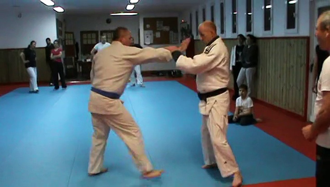 Jujitsu Rollin Philippe (Self Défense)