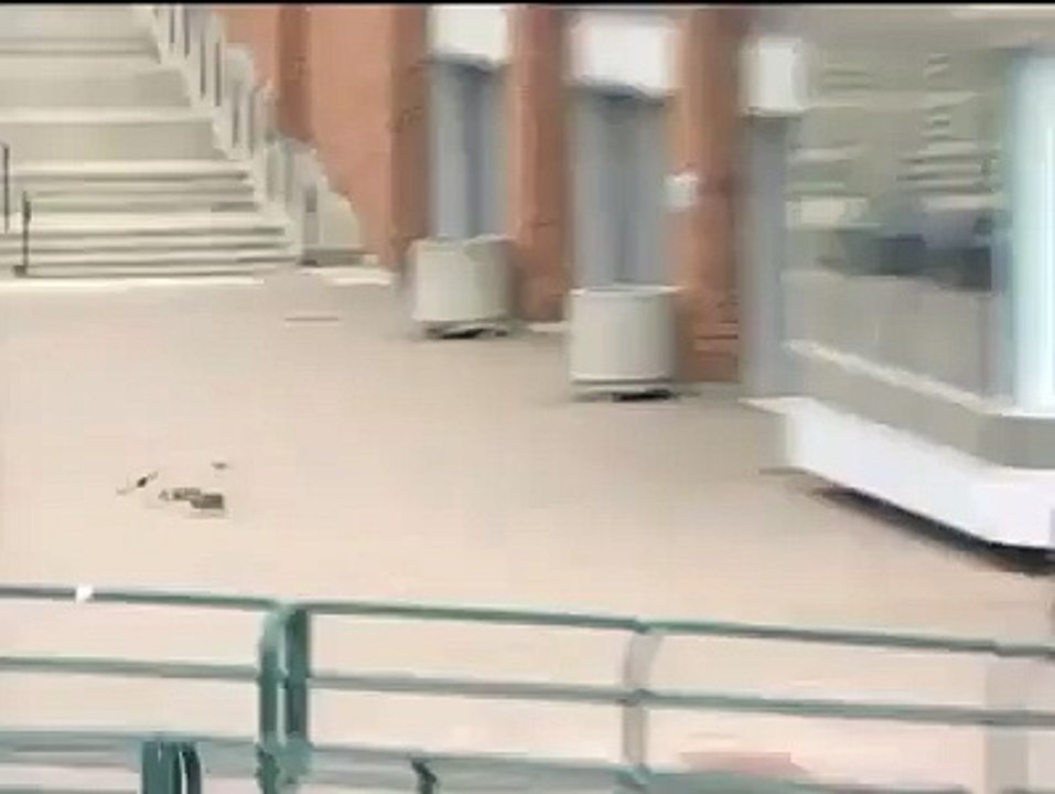 The struggle of ducks against the wind