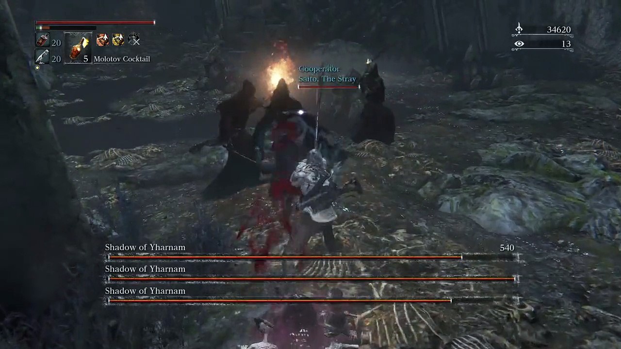 Bloodborne: Co-op fun!