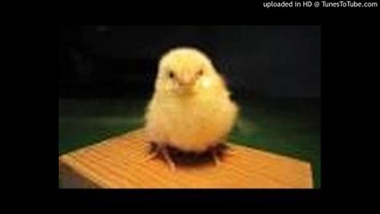 Desafinado/デサフィナード/Antônio Carlos Jobim/アントニオ・カルロス・ジョビン/ピアノ 高橋丈太郎