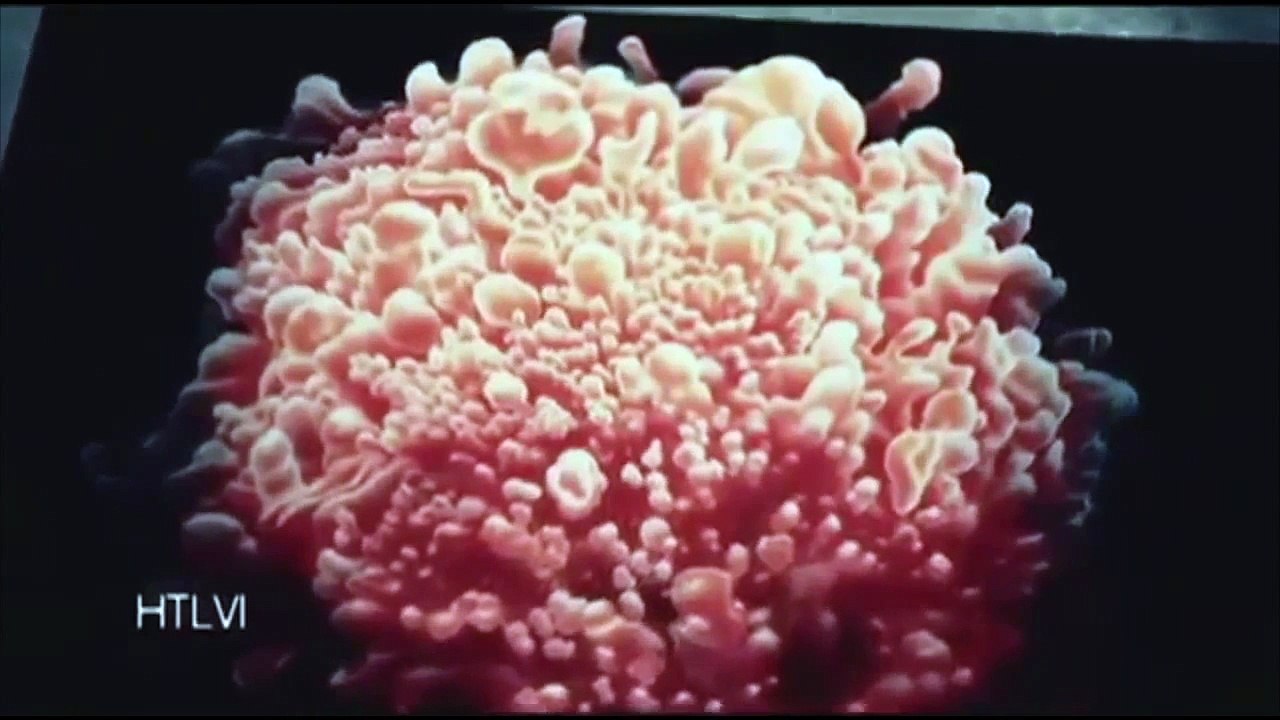VIH_ ¿Arma biológica, enfermedad o simplemente una farsa_ (720p)