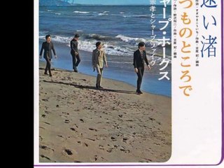 遠い渚・・シャープ・ホークス