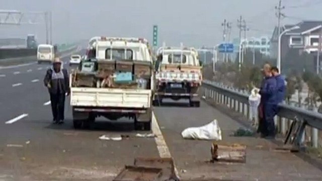 Millions of bees swarm on Chinese motorway after crash