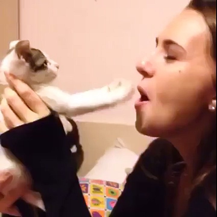 Don't mess with cats! HAHAHAHA