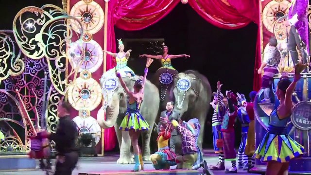 Les éléphants du cirque Barnum tireront leur révérence en 2018
