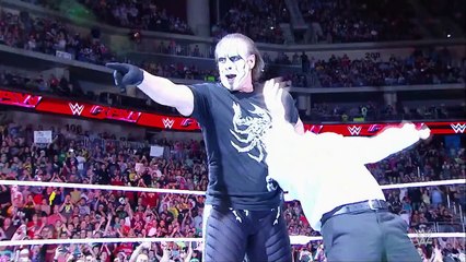 Sting and Orton decimate The Authority  WWE RAW Slam of the Week 3 16