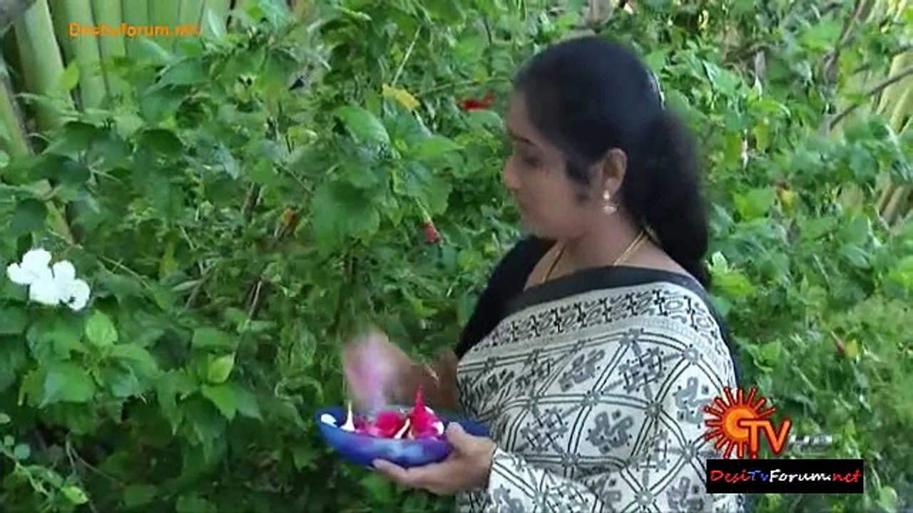 Bommalattam 27th March 2015 Video Watch Online