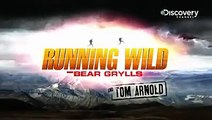 Bear Grylls on a man vs wild Discovery channel
