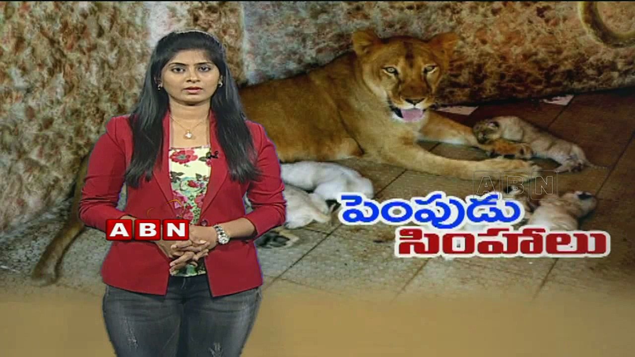 Multan lioness gives birth to five cubs
