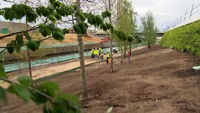 Bees, Butterflies and Blooms - Cities (3/3)