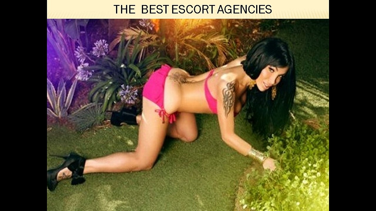 THE  BEST ESCORT AGENCIES