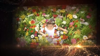 Ramiq Vəliyev - Gözəlliklər müsəlmanlar üçündür