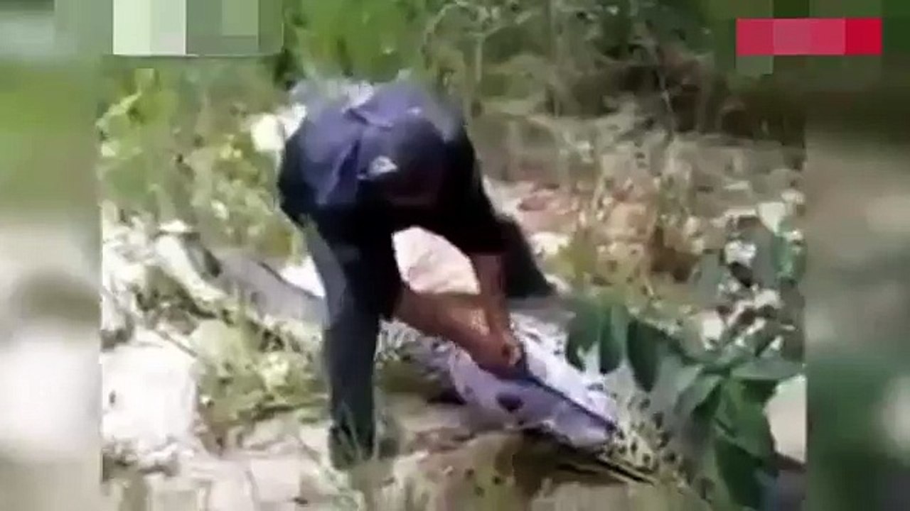 Man cuts open giant snake's belly and is stunned by what's inside