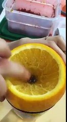 Innovative Creation with an ORANGE