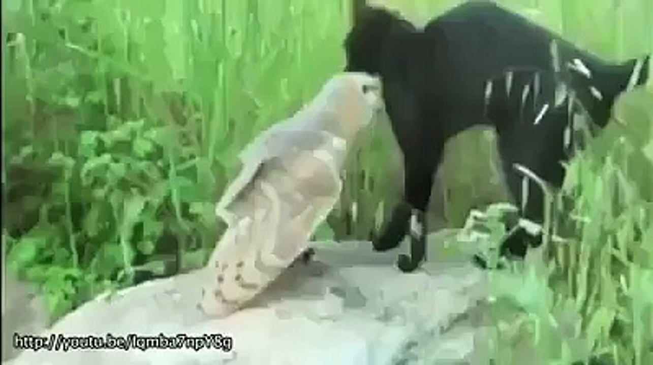 Friends like this best friends ever