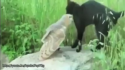 Friends like this best friends ever