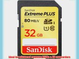 SANDISK SDSDXS-032G-A46 Extreme(R) PLUS SDHC(TM) UHS-I Card (32GB)