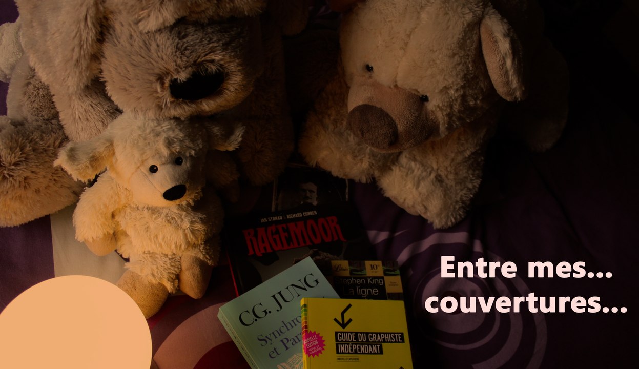 Présentation d'Entre mes couvertures : EMC