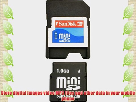 SanDisk 1GB miniSD Card (SDSDM-1024-A10M Retail Package)