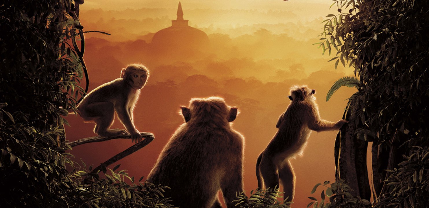Monkey Kingdom - Trailer [HD] (Disneynatures - Le Royaume des singes)