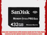SanDisk Flash 32 GB Memory Stick PRO Duo Flash Memory Card SDMSPD-032G Black