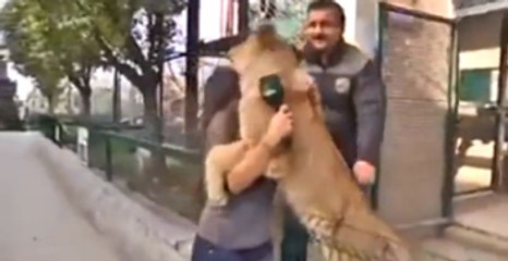 Yozgatlı Aslan Kadın Muhabiri Görünce Çılgınlar Gibi  Sarıldı