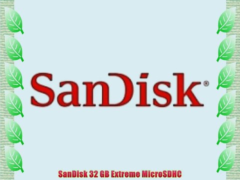 SanDisk 32 GB Extreme MicroSDHC