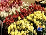 Flower Show in Jillani Park (Lahore) - Geo Reports - 27 Mar 2015