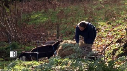Bali Breizh - Sul 29 a viz Meurzh - Ar Forechoù