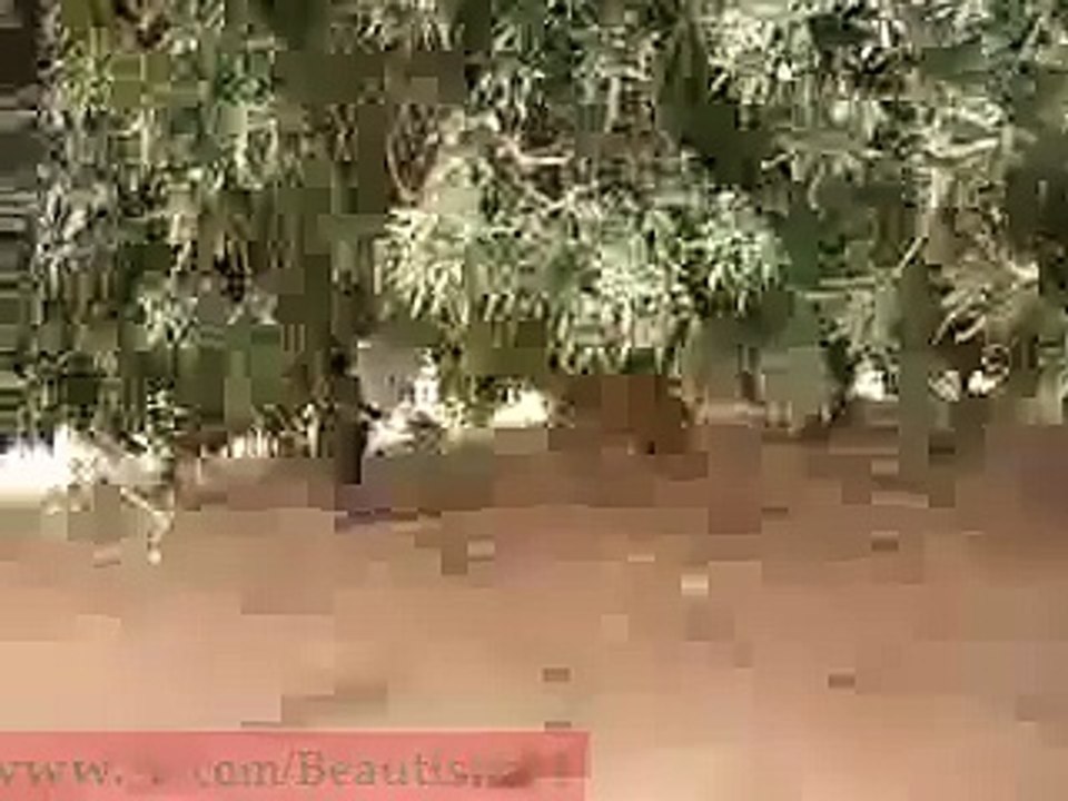 subhan ALLAH