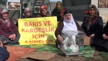 Diyarbakır1şehit Anneleri ile Çocukları PKK'da Olan Aileler Diyarbakır'da Barış Çağrısı Yaptı