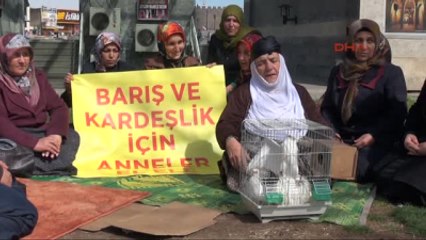 Diyarbakır1şehit Anneleri ile Çocukları PKK'da Olan Aileler Diyarbakır'da Barış Çağrısı Yaptı