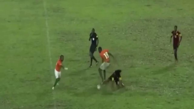Pitch Condition during Ivory Coast vs Angola 2-0 HD