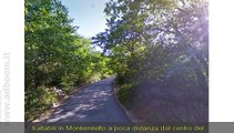 AVELLINO, MONTEMILETTO   TERRENO COLTIVABILE MQ 6650 EURO 40.000