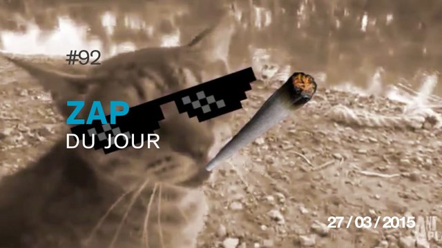 ZAP DU JOUR #92 : Pire pompier de l'histoire / Frontflip Fail / Chat Thug life / Quand tu as bu un verre de trop /