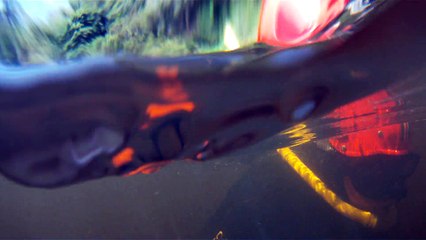 Marcelo Ambrogi, Natureza Indômita, Rio Paraibuna, Mergulhos Sub-aquáticos, Onças, Aranhas, Peixes, Serra do Mar, (51)