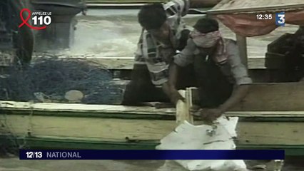 Les gestes fous de pilotes de ligne