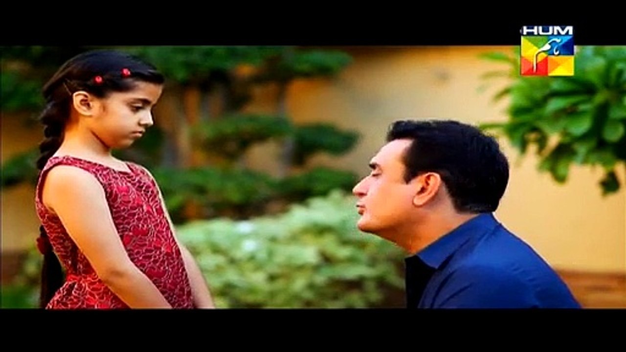 Zindagi Tum Ho Episode 15 full on Hum Tv 27 March 2015