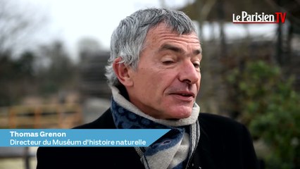 Le Parc zoologique de Paris fête ses un an