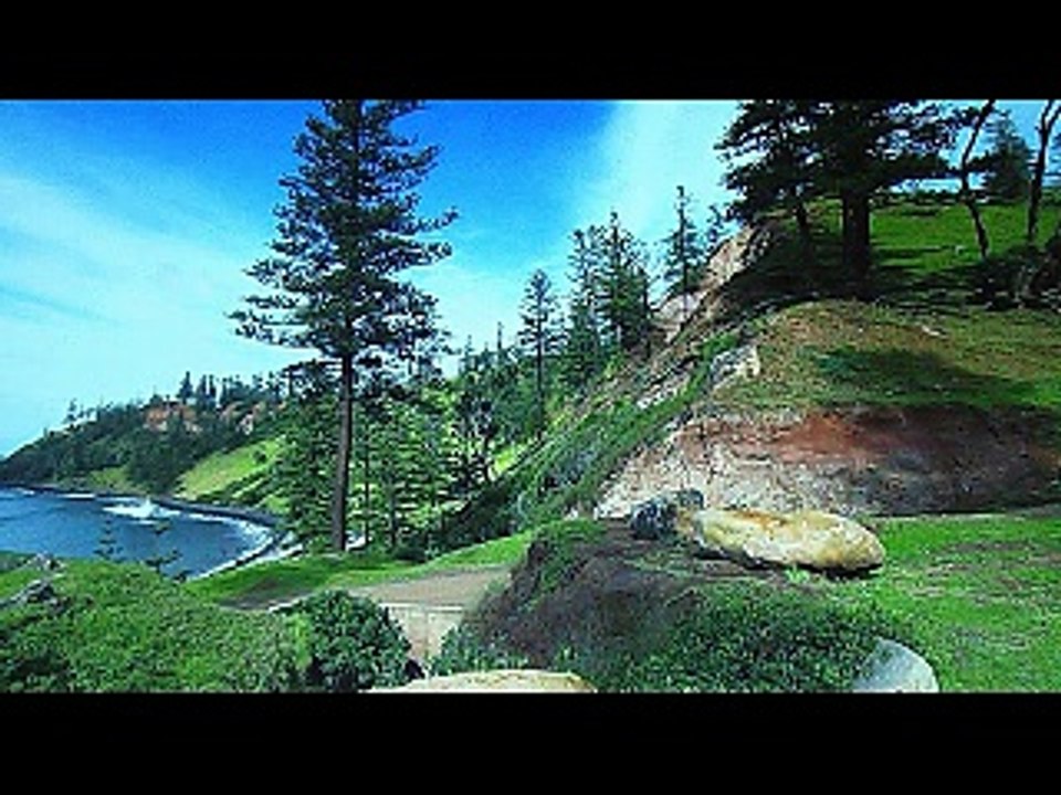 Vincent LAMMOUR Chanson Rêverie antillaise Vidéo Clip