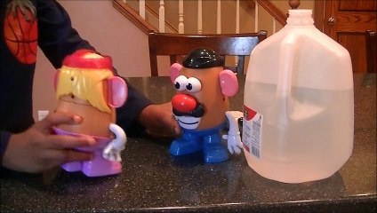 Mr. Potato Head's Problem