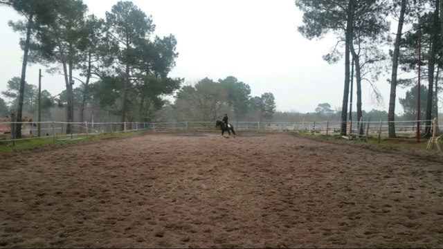 20/03/2015 B. Lusitanien 4ans, 5ème fois monté, le travail au trot