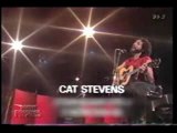 Cat Stevens Morning Has Broken