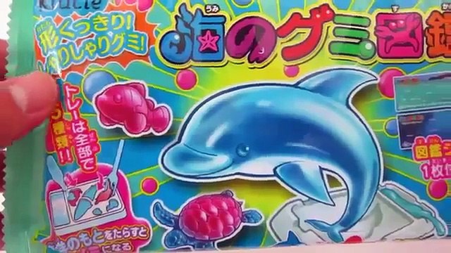 Kracie Popin Cookin Umi No Gumi Zukan Sea Animal Gummy Candy DIY Kit!