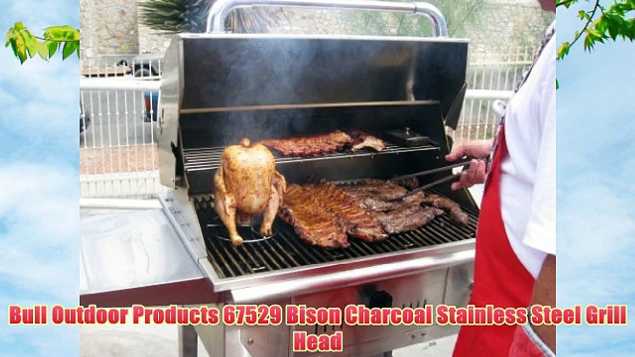 Bull Outdoor Products 67529 Bison Charcoal Stainless Steel Grill Head