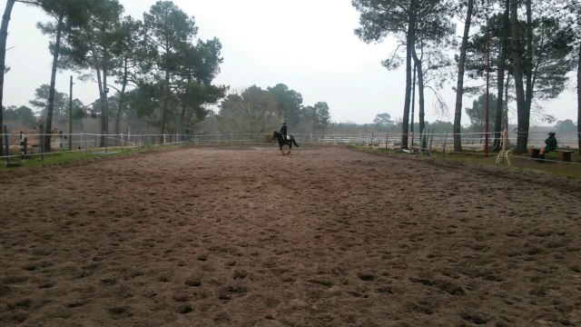 20/03/2015 B. Lusitanien 4ans, 5ème fois monté, galop