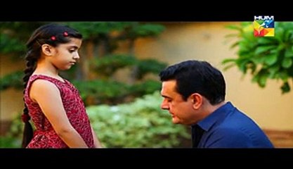 Zindagi Tum Ho Episode 15 Full on Hum Tv Drama 27 March 2015