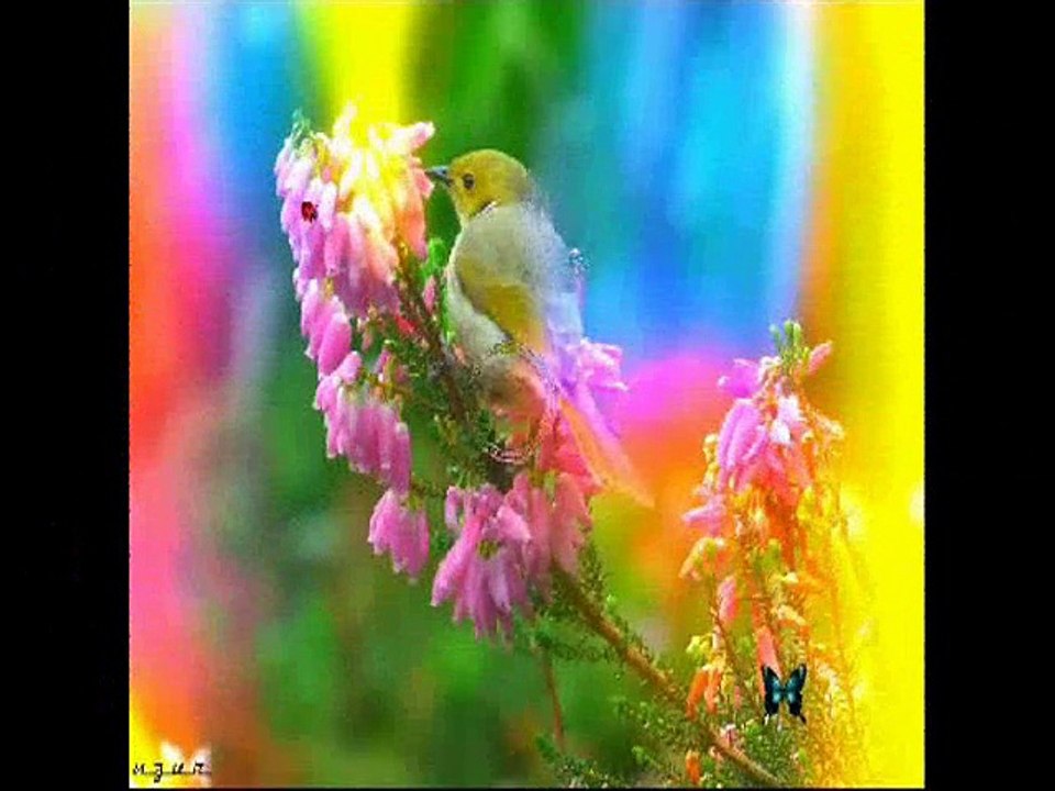 ENSTÜRÜMENTAL--GEL DİYEMEM-cengiz coşkuner