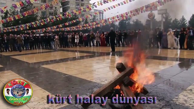 AMED NEWROZU 5015 HALAYLAR