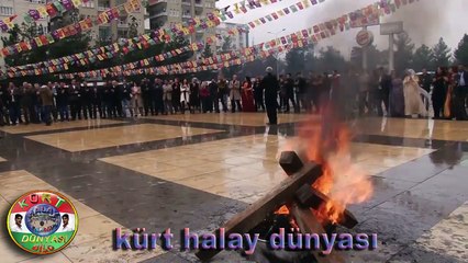 AMED NEWROZU 5015 HALAYLAR